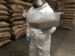 coffee-in-sacks-11